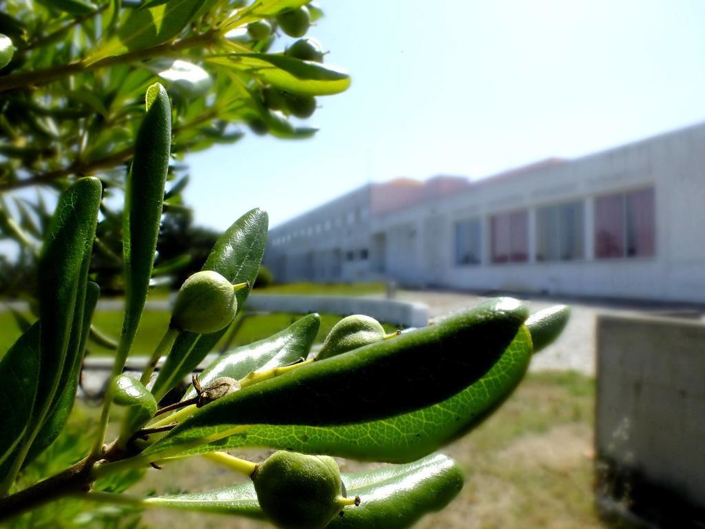 Hi Almograve - Pousada De Juventude Dış mekan fotoğraf